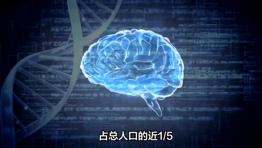二四六天天彩246cn开奖结果查询表,杨紫回应舞蹈走红,详细释义解释落实_iPadV3.53