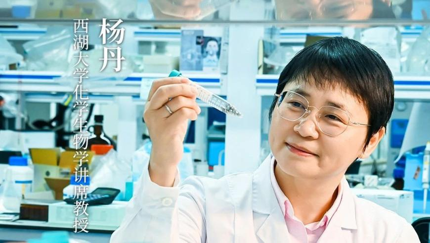 新奥彩今晚开奖结果查询,开放中国充满机遇,确保成语解释落实的问题_测试版V4.52