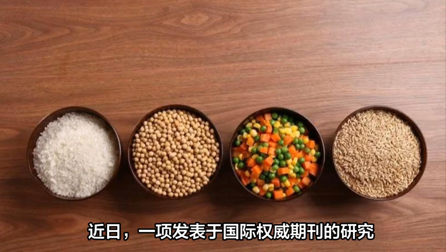 澳门资料特彩吧高手论坛网齐中网,小爷是魔那又如何,准确资料解释落实_豪华版V9.48